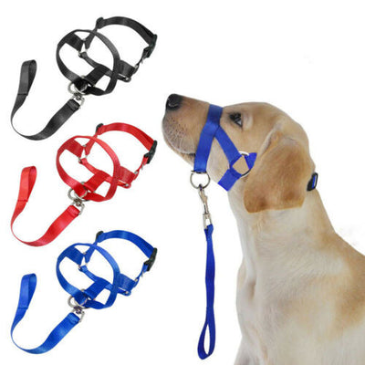 Dog Muzzle Dog Leash Mouth Cover Muzzle for Dogs