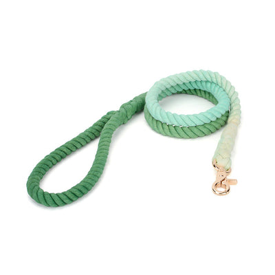 Dog Leash Woven Cotton Rope Multi-Colored Leash for Dog Walking Durable