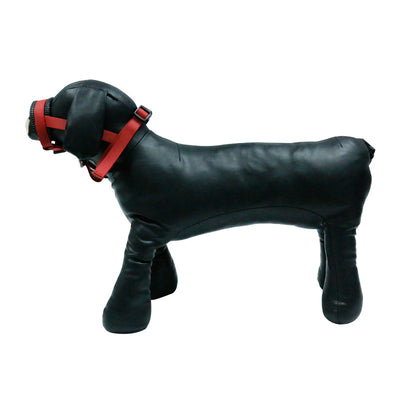 Dog Muzzle Adjustable Straps for Small or Large Dogs