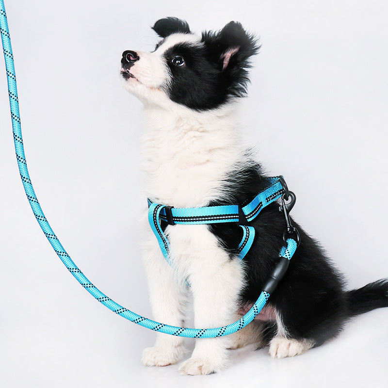 Dog Harness with leash for Medium to Large Sized Pets for Dog Walking