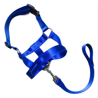 Dog Muzzle Dog Leash Mouth Cover Muzzle for Dogs