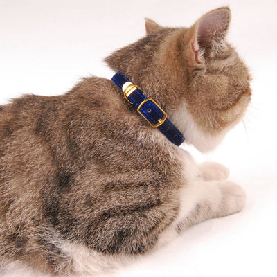 Cat Collar Pet Leash Fitted Collar for Pets Cat Accessories