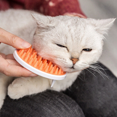 Cat Grooming Tool Massaging Removes Shedding Hair from Pets