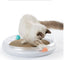 Cat Teaser Toy Multi-function Cat Scratching Board Cat Toy