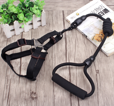 Dog Harness with Handle for Dog Walking Dog Leash for Small and Large Dogs