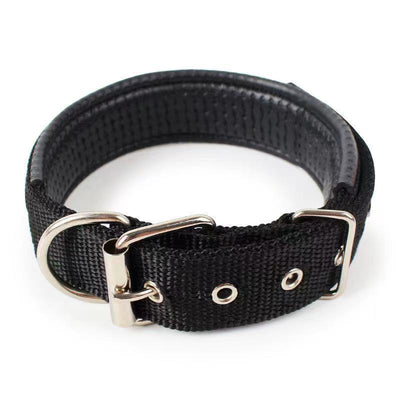 Dog Collar for Small, Medium and Large -sized Dogs