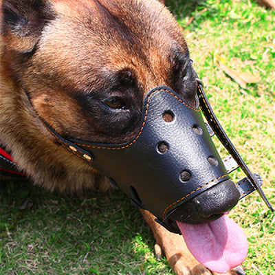 Dog Muzzle Adjustable Bite Proof Muzzle for Dog Walking Securely