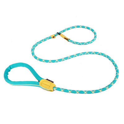 Dog Leash Colorful Thick Solid Rope for Dog Walking Pet Leash