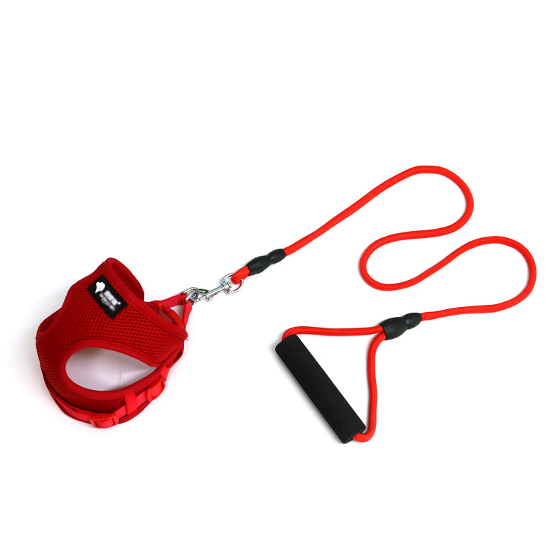 Dog leash with Harness and Handle