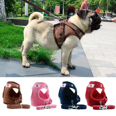 Dog Harness for Dog Walking Your Small to Medium Sized Pet