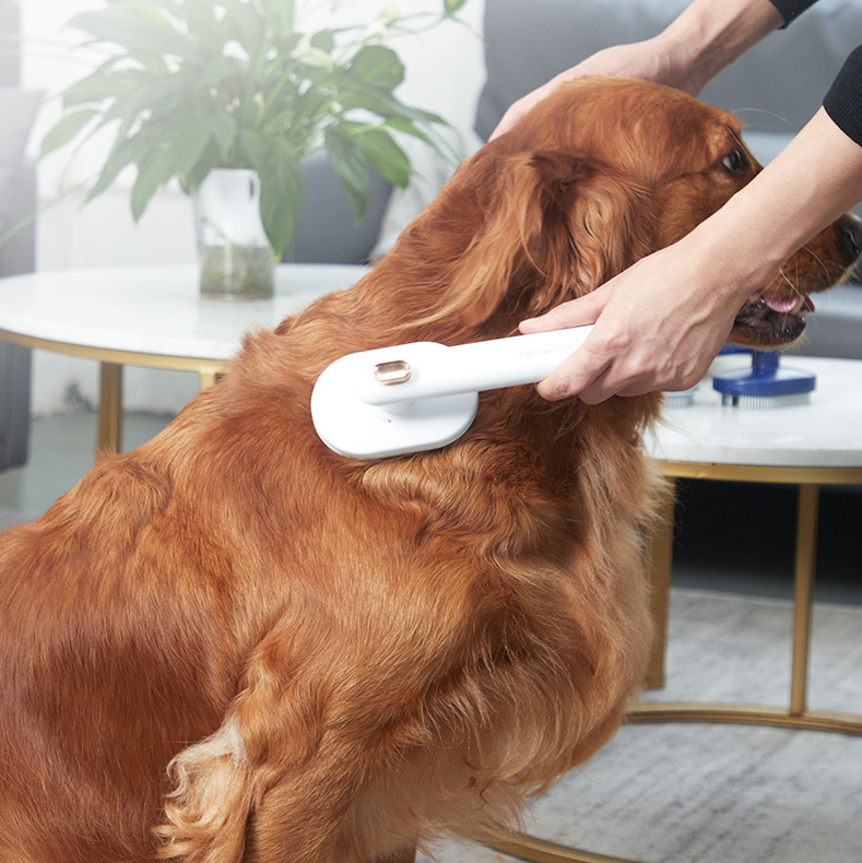 Pet Grooming Brush for Removing Excess Hair from your Dog or Cat