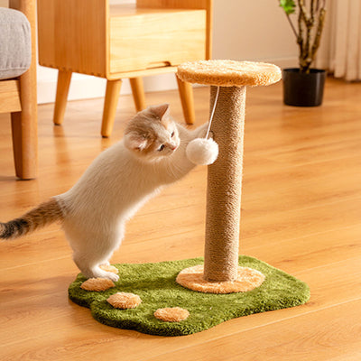 Cat Scratching Post for Climbing with Teaser Toy Attached