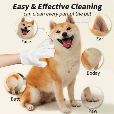 Pet Grooming Gloves Disposable Gloves for Cats and Dogs Cleaning