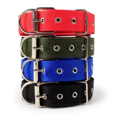 Dog Collar for Small, Medium and Large -sized Dogs