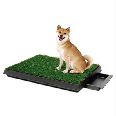 Dog Training Pad Dog Supplies Lawn Toilet