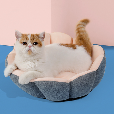 Cat Bed Winter Warm Cozy Pet Bed Small Dog