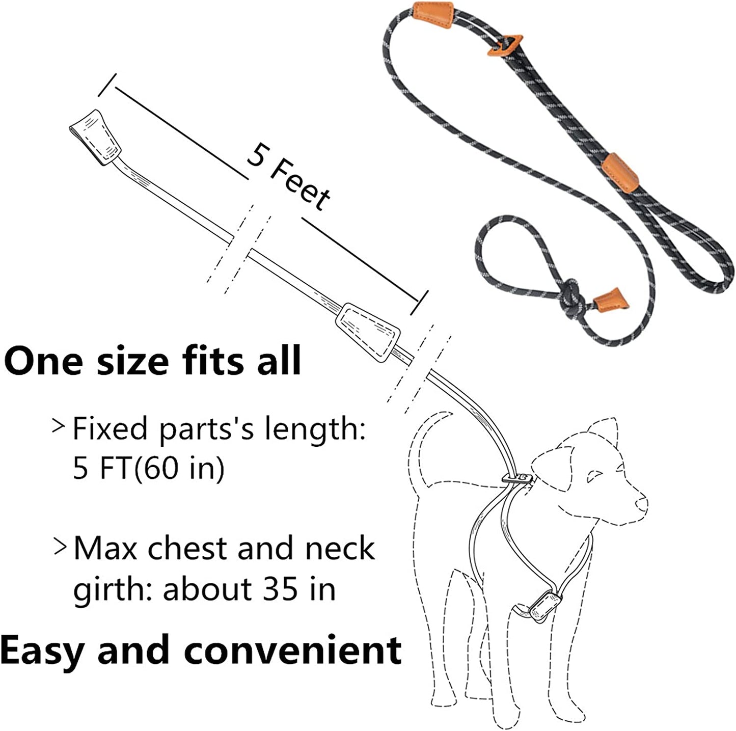 Dog Leashes for Medium Dogs - Dog Harness Puppy Step-In Leash Heavy Duty 5 Ft Adjustable Nylon Dog Collar & Leash in One with Reflective Stripe for Small Medium & Large Dogs (Black)