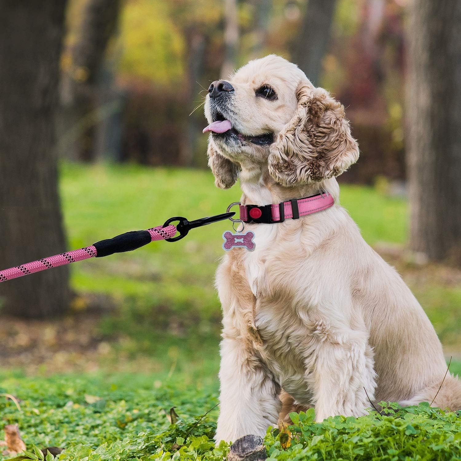 5 FT Strong Dog Leash with Comfortable Padded Handle and Highly Reflective Threads Dog Leashes for Small Medium Large Dogs with a Free Matching Dog Collar