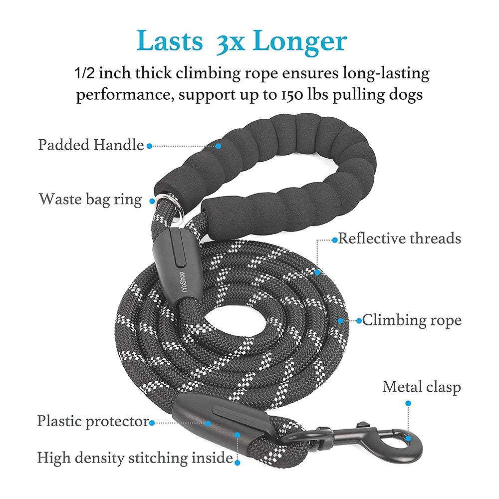 Pet Dog Double Leashes Elastic Rope Two Heads Nylon Dogs Leash 2 Way Coupler Walk Two Dogs Collars Harness Leads Dog Leashes